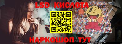 крисы Брянск