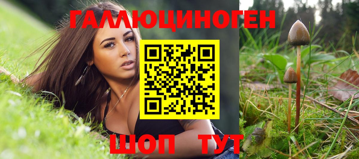 Богданович  Псилоцибиновые грибы Cubensis  Вход с VPN 